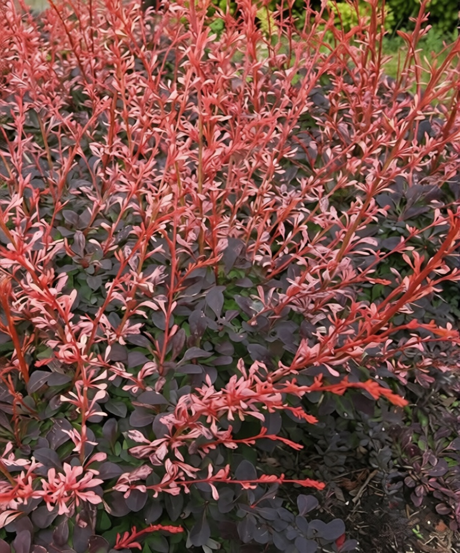 5107c4f0-165f-4955-863d-94815d53d270_0