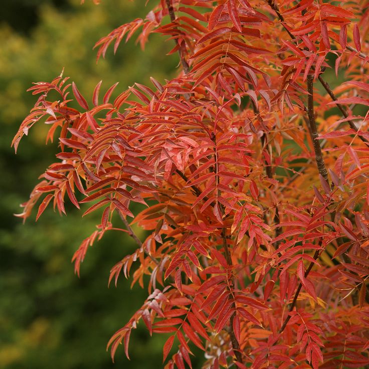 647bf060c21d2762f65169e96ff7eff0