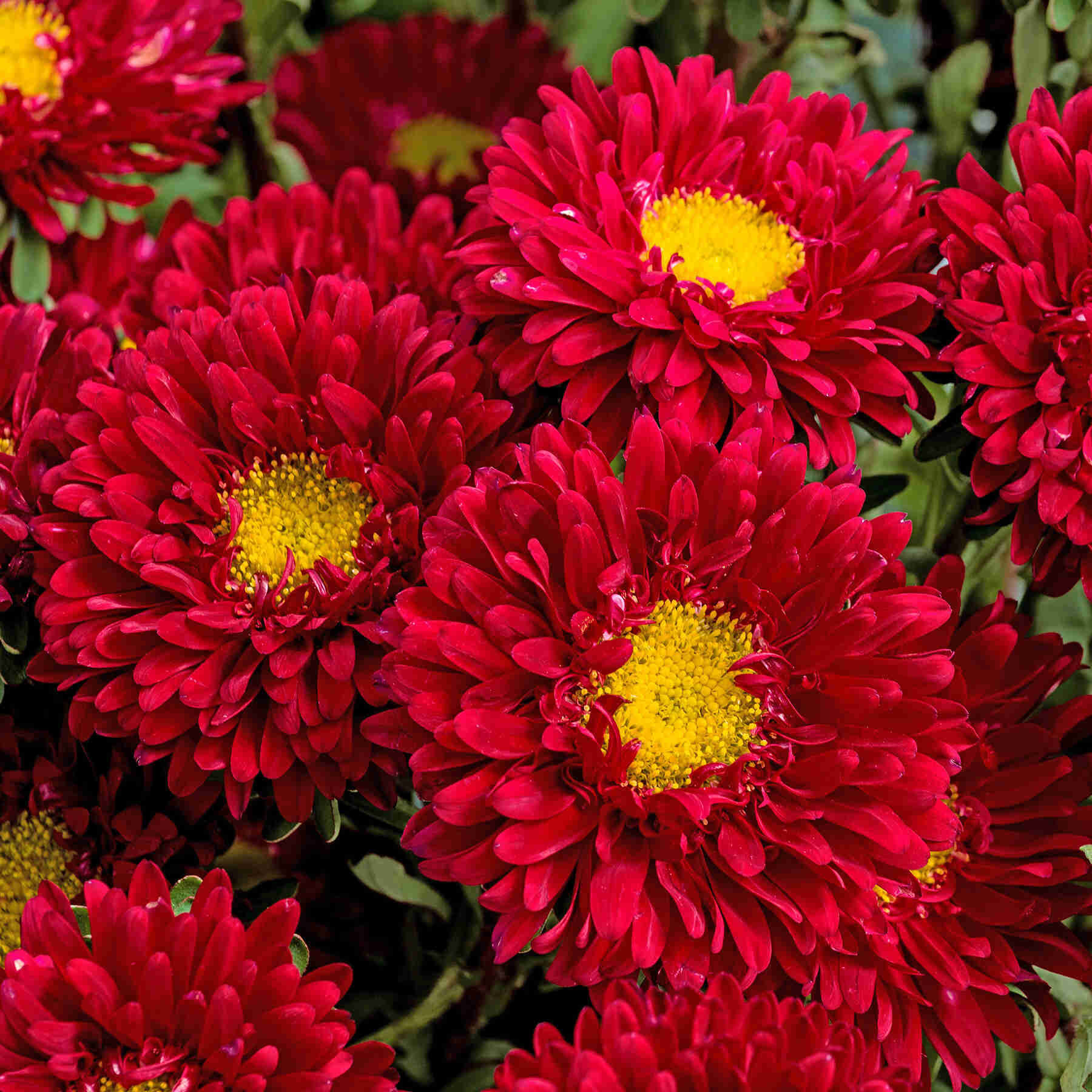 ad3h9kp16cw1j9rwb1o67xcbs5qfhrum